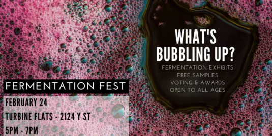 Fermentation Fest